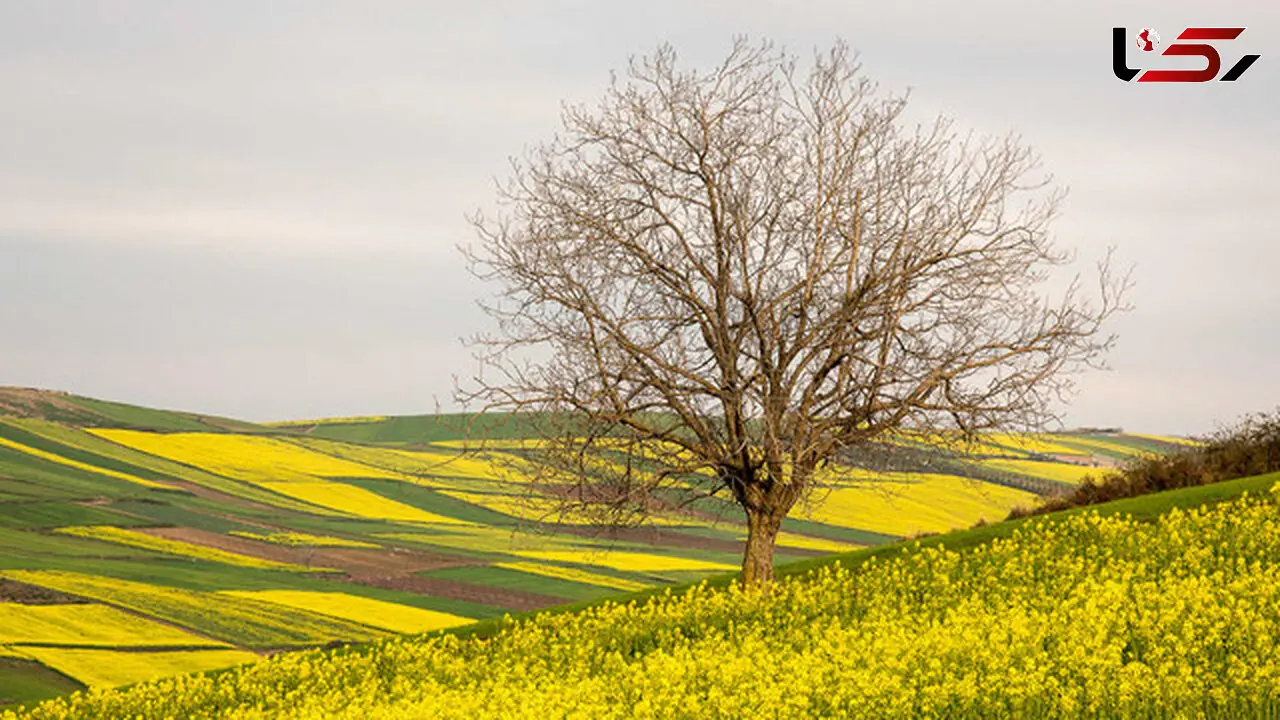 کاهش دما در سواحل خزر تا دوشنبه ادامه دارد