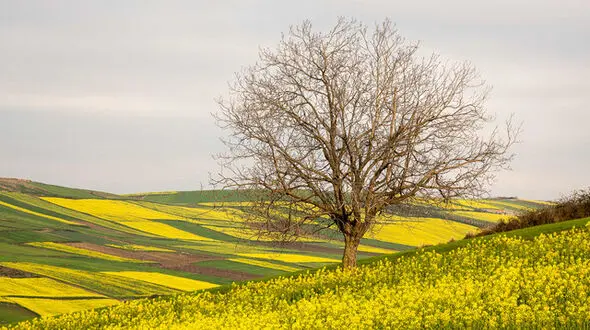 کاهش دما در سواحل خزر تا دوشنبه ادامه دارد