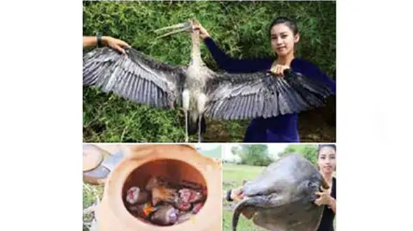 نمایش نفرت انگیز یک زن از خوردن جانوران + عکس