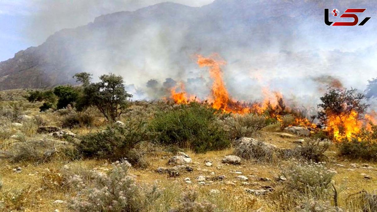 مهار آتش سوزی‌ پارک ملی بمو در شیراز