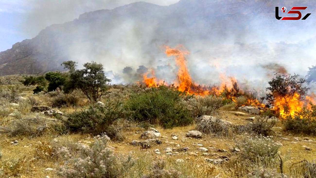 مهار آتش سوزی‌ پارک ملی بمو در شیراز