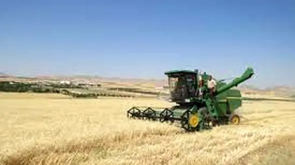 کشاورزان یزدی برای دریافت سهمیه کود شیمیایی مراجعه کنند/ سال پرمحصول کشاورزی پیش رو داریم