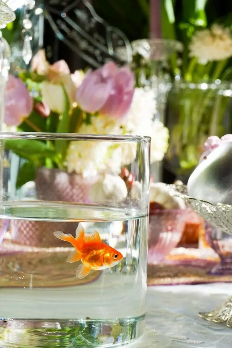 مدل تنگ ماهی هفت سین ۱۴۰۵ | مدل تنگ ماهی مدرن تا فانتزی برای هفت سین ۱۴۰۵ با ایده هایی برای عروس های هنرمند!