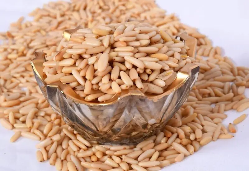 چلغوز (3)