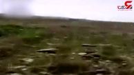 حمله میلیون ها ملخ به مزارع کشاورزهای میناب+فیلم