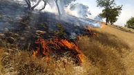 آتش سوزی منطقه حفاظت شده هانیوان ایلام را فراگرفت