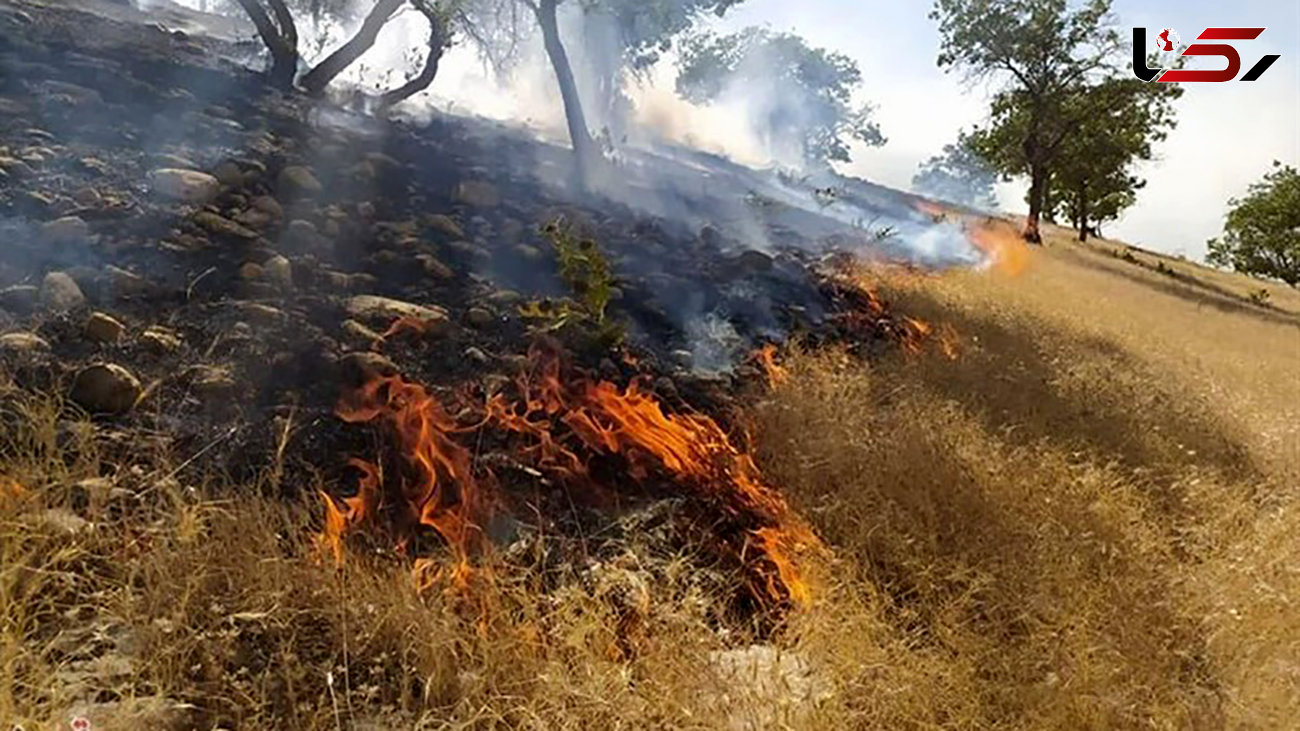 آتش سوزی منطقه حفاظت شده هانیوان ایلام را فراگرفت