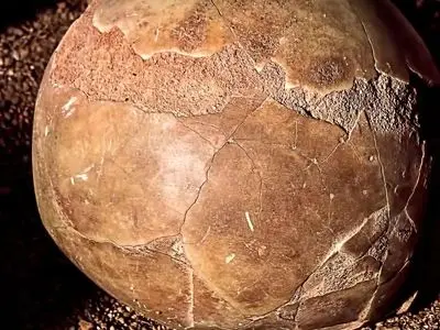 کشف عجیب: تخم‌ مرغ 1700 ساله با مایعی سالم!