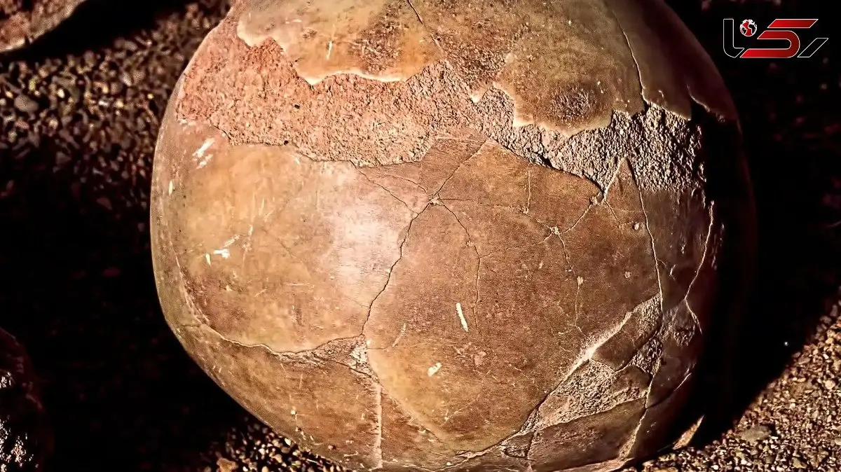 کشف عجیب: تخم مرغ 1700 ساله با مایعی سالم!