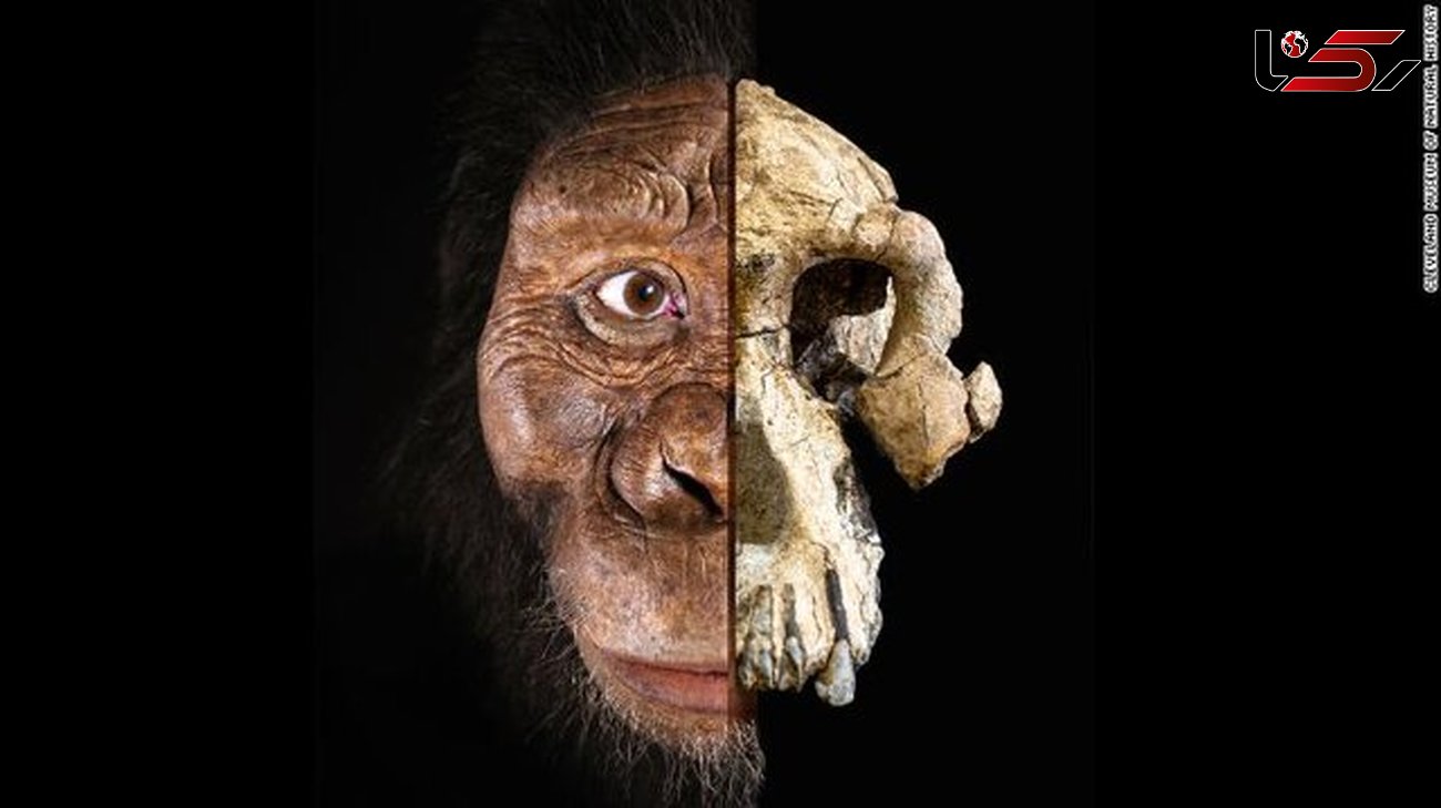 رونمایی از چهره قدیمی‌ترین انسان‌های اولیه