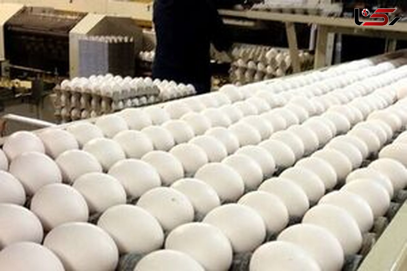 فروش تخم مرغ بالاتر از شانه‌ای ۲۹ هزار تخلف است