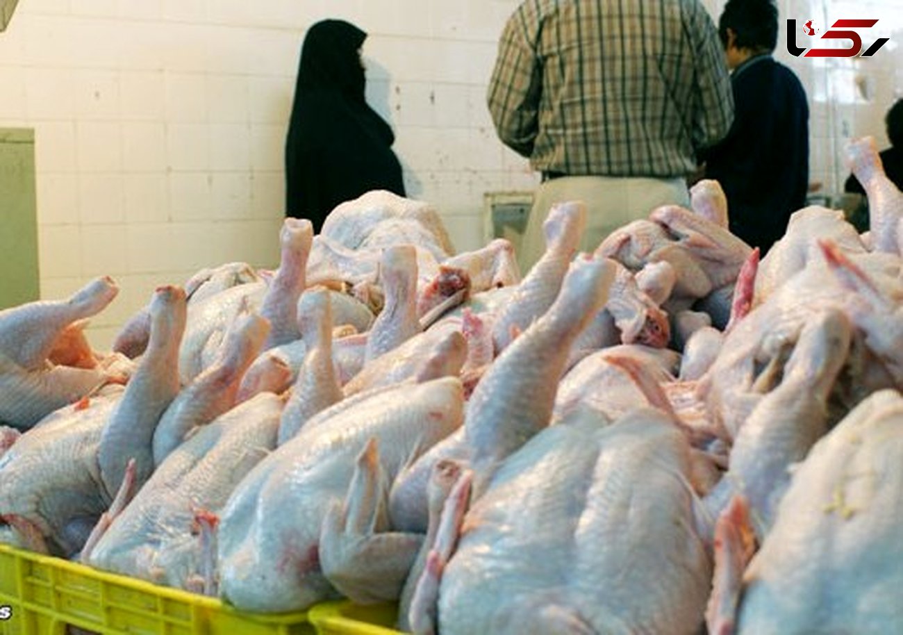 قیمت مرغ متناسب با افزایش هزینه‌ها نیست