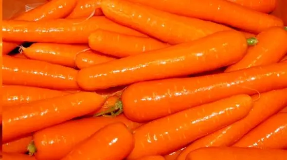 هویج بهترین خوراکی برای خانم های یائسه 