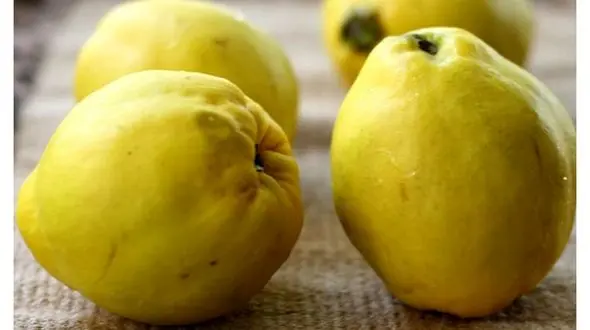 با خواص به بیشتر آشنا شوید/بوییدن این میوه نشاط آور است