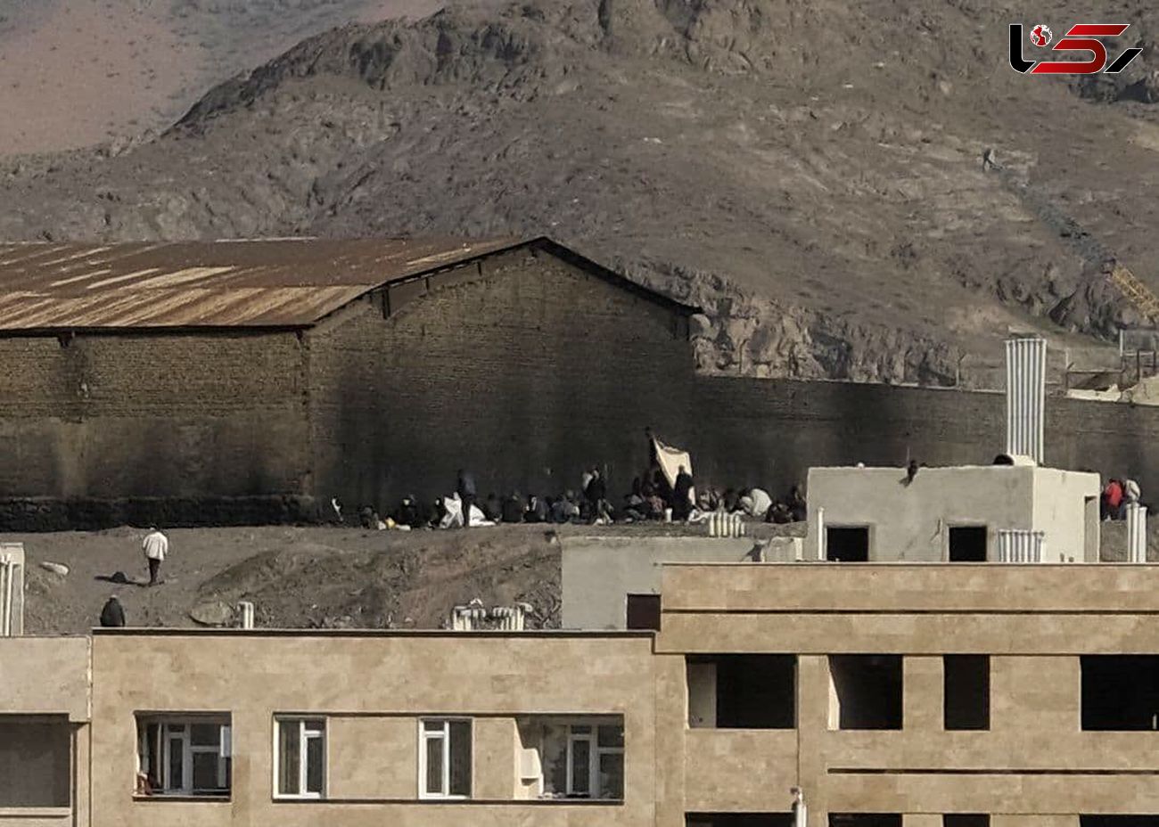 دژ معتادان مسلح متجاهر در جنوب شرق تهران/ زخمی که هر سال عمیق تر می شود + عکس