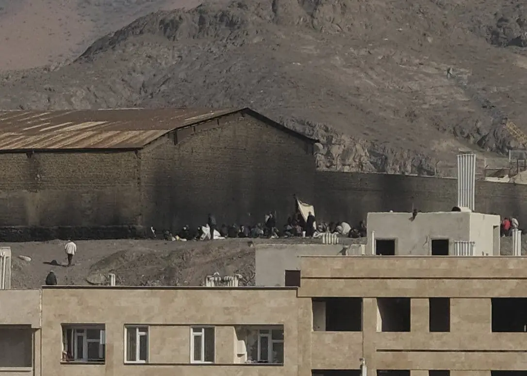 دژ مستحکم معتادان متجاهر مسلح در منطقه 15 تهران / مسئولان چه می گویند + فیلم