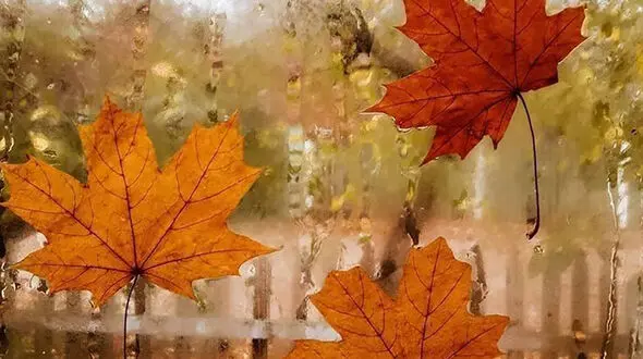 فال و طالع بینی امروز  14 آبان + فیلم 