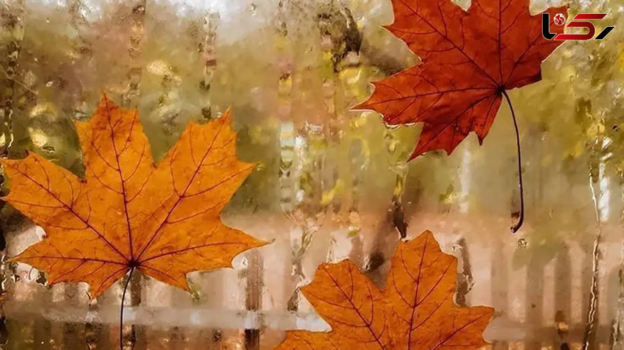 چرا در فصل پاییز دلمان بیشتر غمگین می‌شود و دلتنگی بیشتری حس می‌کنیم؟