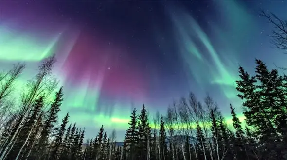 تصاویری خیره کننده از شفق قطبی و گوزن‌ها + فیلم 