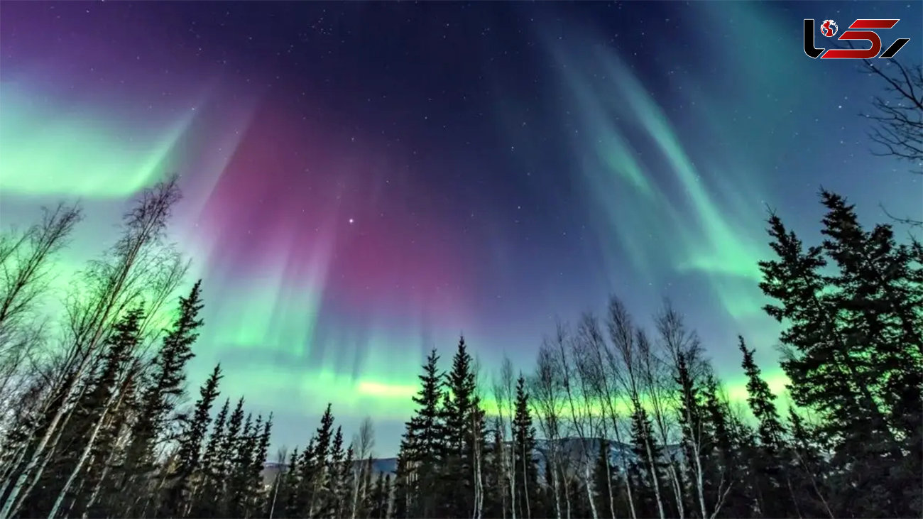 تصاویری خیره کننده از شفق قطبی و گوزن‌ها + فیلم 