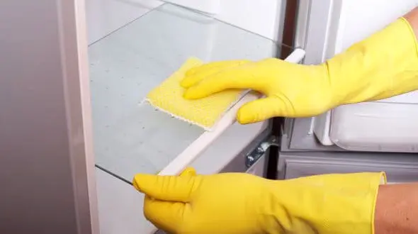 نابودی میکروب ها با تمیز کردن داخل یخچال