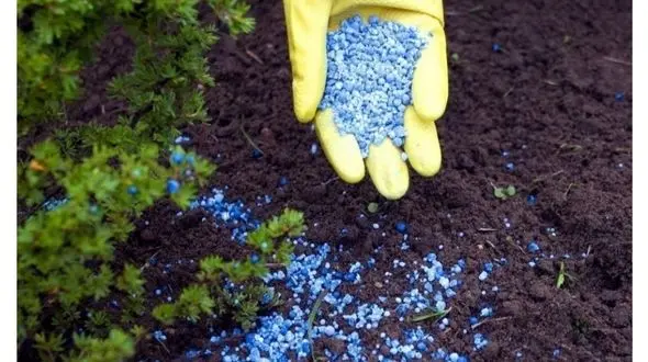 کودهای یارانه‌ای در قم پرمصرف نیست