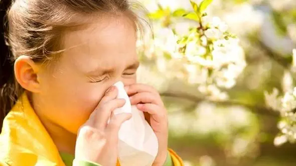 مقابله با آلرژی با هوش مصنوعی؛ آیا پایان عطسه فرا رسیده است؟