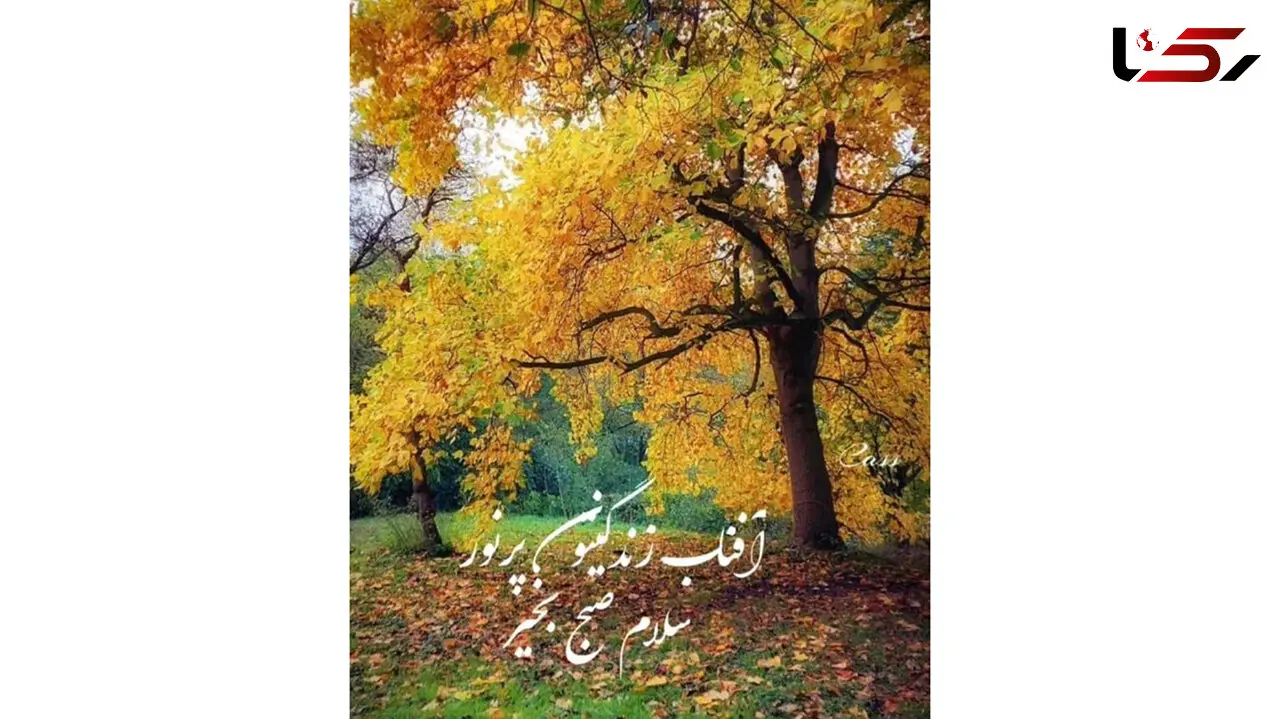 فال و طالع بینی امروز 21 اردیبهشت 1405