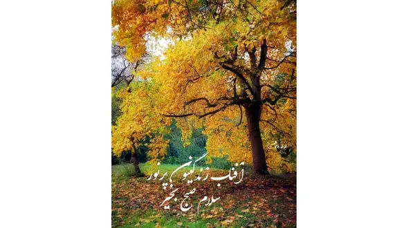 تفسیر فال حافظ 28 آذر 