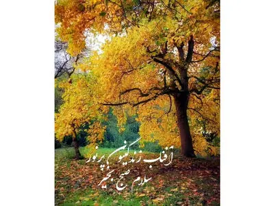 تفسیر فال حافظ 28 آذر 