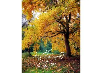 تفسیر فال حافظ 28 آذر 