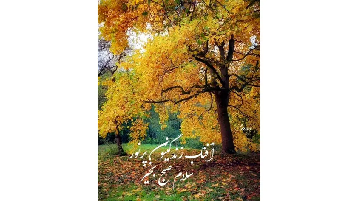 تفسیر فال حافظ 28 آذر