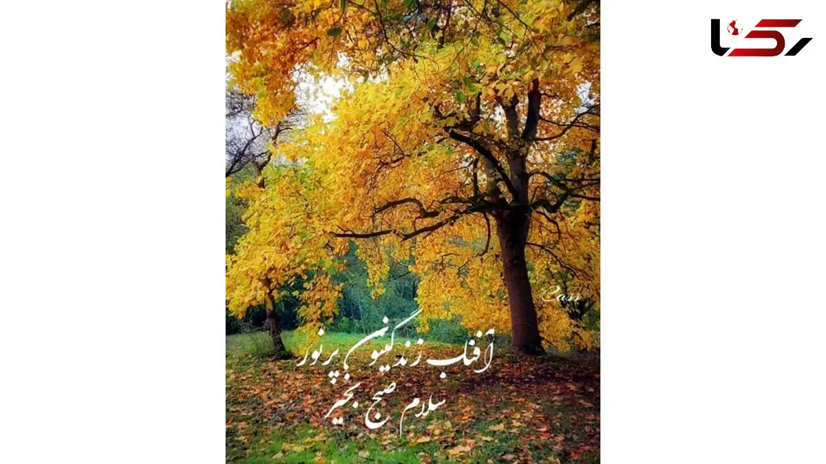 تفسیر فال حافظ 28 آذر 