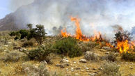 آتش سوزی به جنگل‌های شرق مازندران هم کشیده شد 