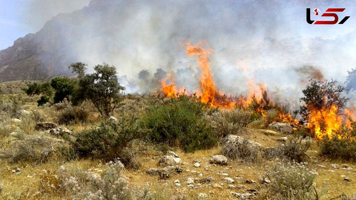 آخرین خبر‌ از آتش پارک ملی گلستان 