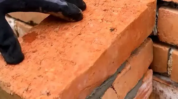 از استحکام بخشی ساختمان ها تا جزیره هایی ک توسط حیوانات اداره میشود