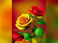 فال و طالع بینی امروز جمعه 14 آذر