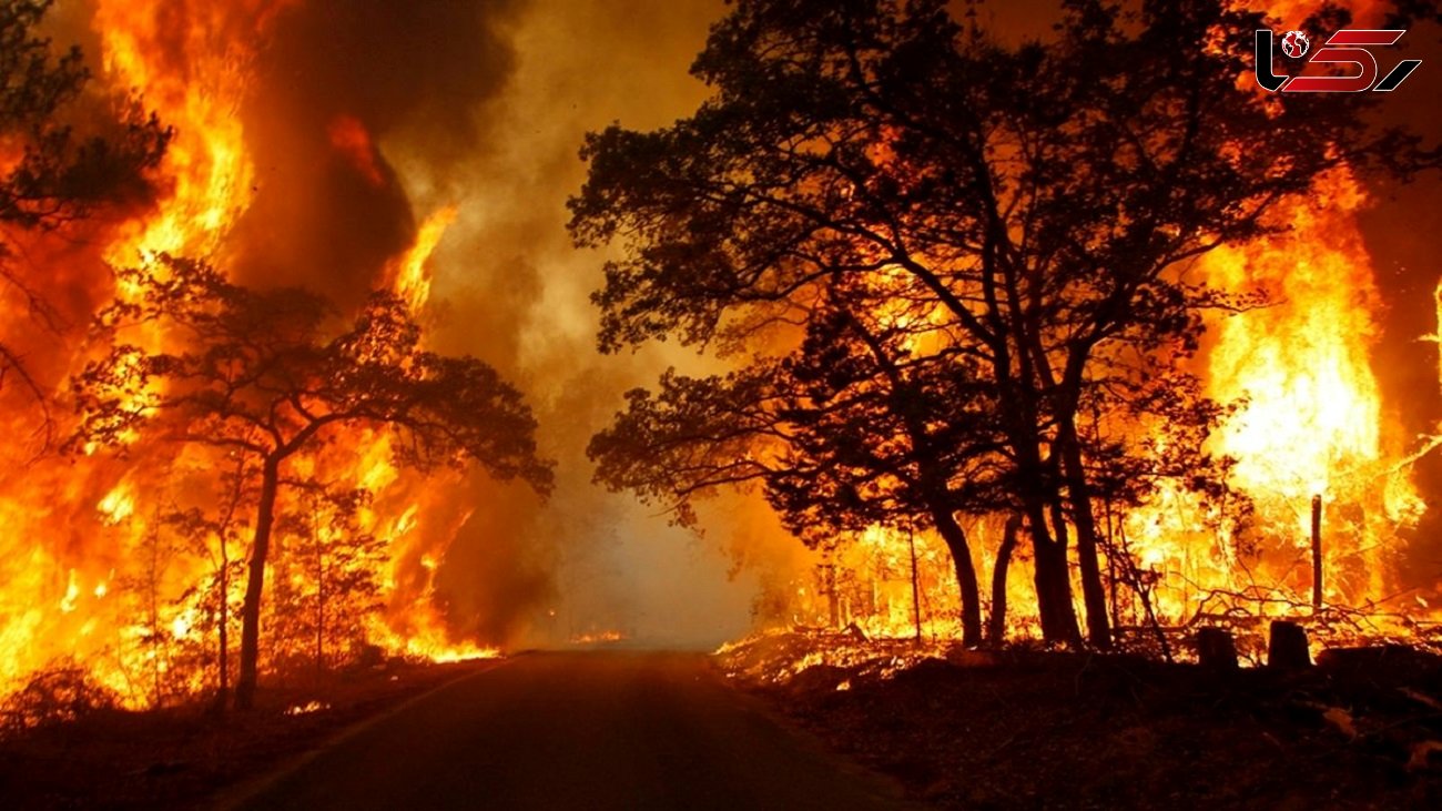 استعداد ۸ میلیون هکتاری جنگل های ایران برای آتش سوزی 
