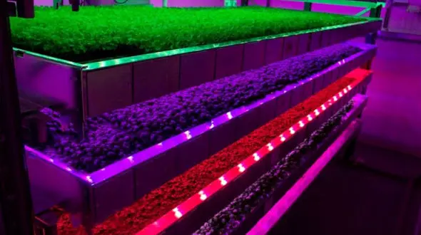 مزرعه عمودی چیست؟