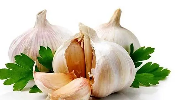 برای تجربه یک خواب عمیق،یک حبه سیر زیر بالش تان بگذارید!