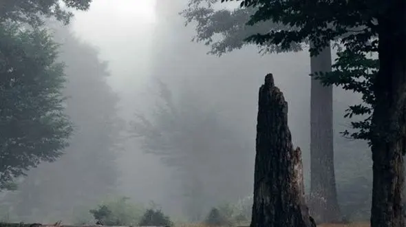 از شب‌های خاموش تا طبیعتی که دل را به آرامش می‌خواند