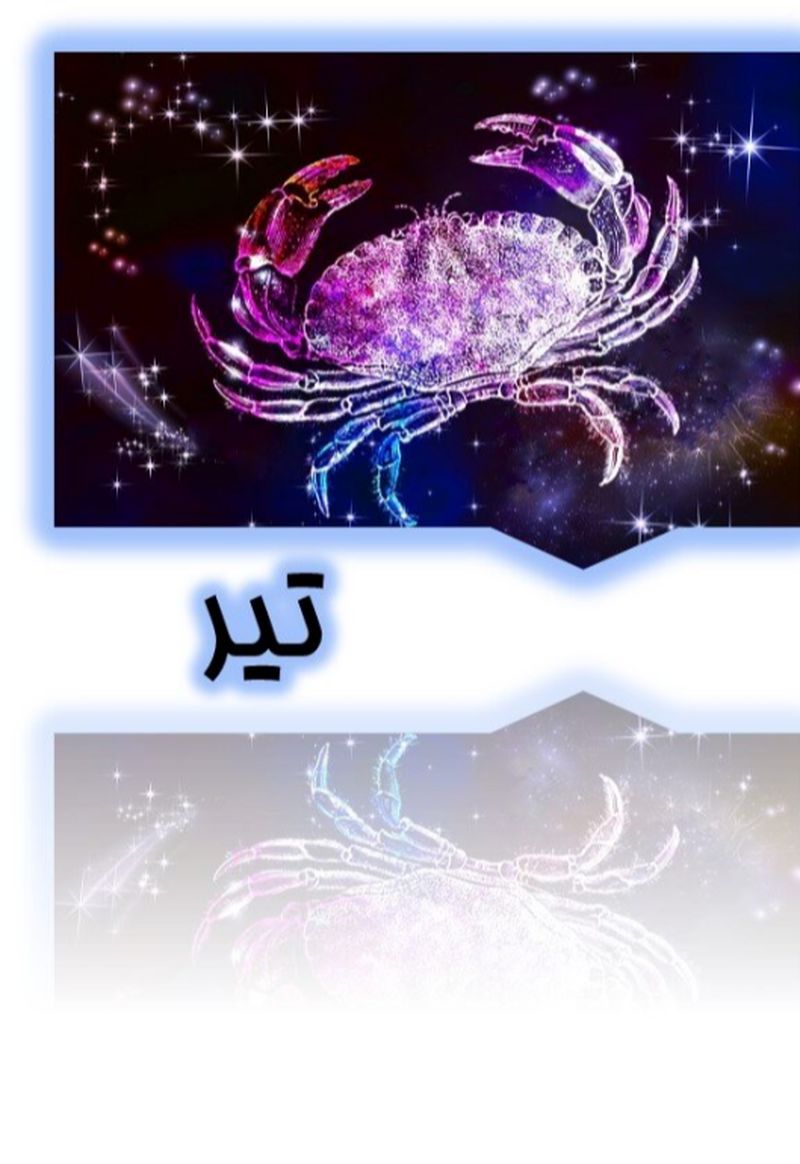 تیر