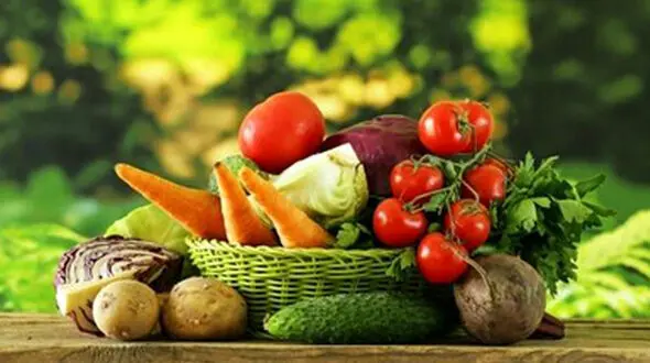 16 ژوئن روز جهانی سبزیجات تازه / راهنمای جشن گرفتن روز سبزیجات تازه
