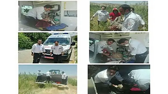 مرد بیجاری در باتلاق فرو رفت + عکس