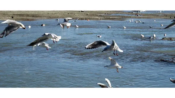 تالاب کردخورد، انتخابی مناسب برای سفر های پاییز