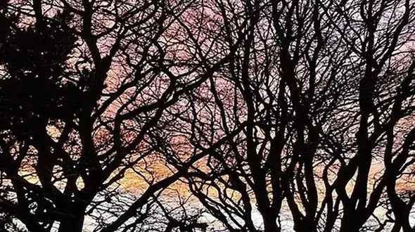 فال ابجد امروز / 20 فروردین + فیلم