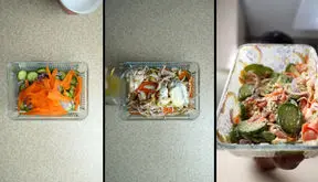 سالاد خیار میان وعده خنک و بهاری / فیلم