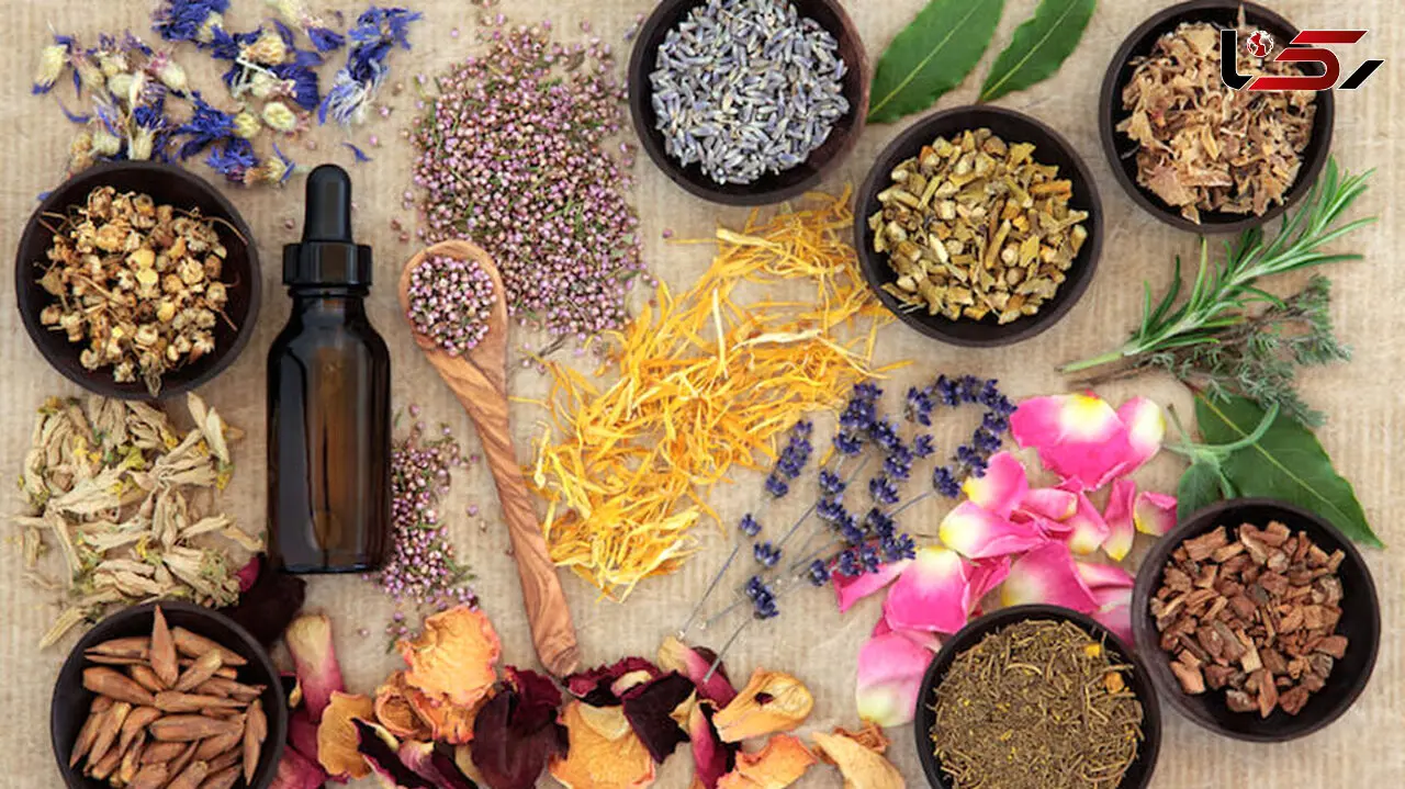 دستورات غذایی طب سنتی برای فصول سال