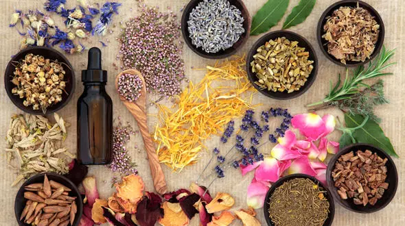 دستورات غذایی طب سنتی برای فصول سال