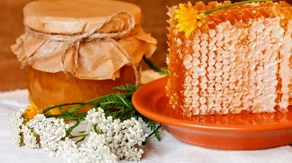 عسلِ باکیفیت چه نشانه هایی دارد؟